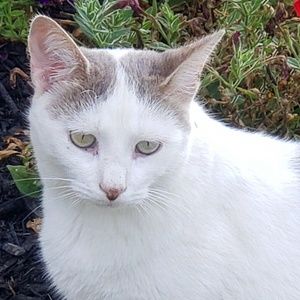 Meet your Posher, Rosalie